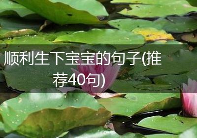 顺利生下宝宝的句子(推荐40句)