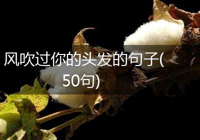 风吹过你的头发的句子(50句)