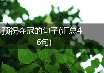 预祝夺冠的句子(汇总46句)