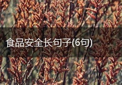 食品安全长句子(6句)