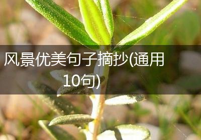 风景优美句子摘抄(通用10句)