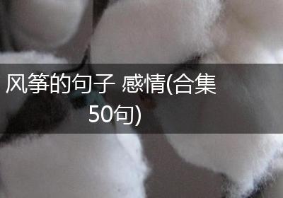 风筝的句子 感情(合集50句)