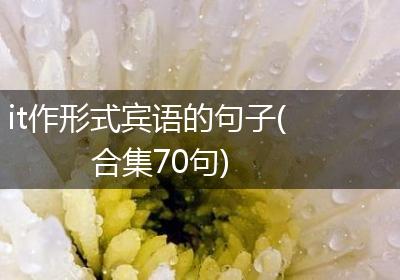it作形式宾语的句子(合集70句)