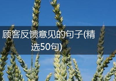 顾客反馈意见的句子(精选50句)