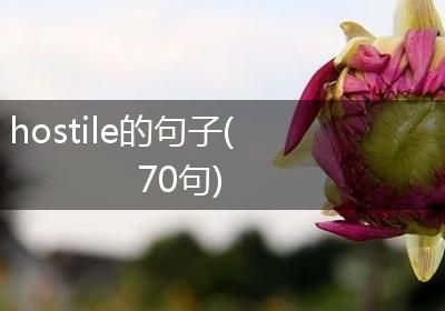 hostile的句子(70句)