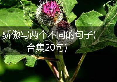 骄傲写两个不同的句子(合集20句)