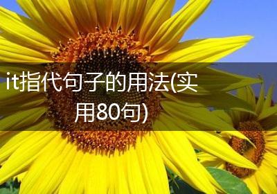 it指代句子的用法(实用80句)