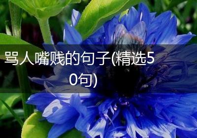 骂人嘴贱的句子(精选50句)