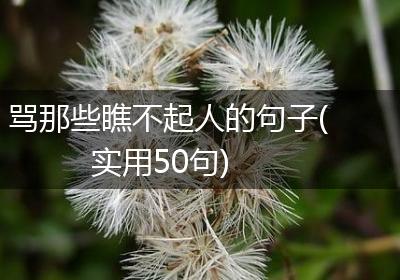 骂那些瞧不起人的句子(实用50句)