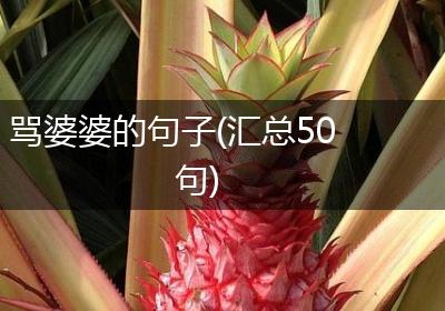 骂婆婆的句子(汇总50句)