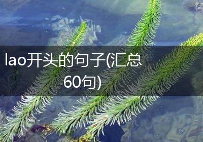 lao开头的句子(汇总60句)