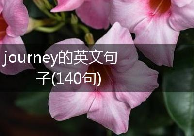 journey的英文句子(140句)