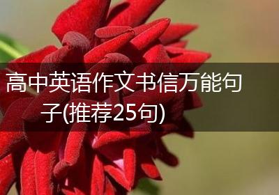 高中英语作文书信万能句子(推荐25句)