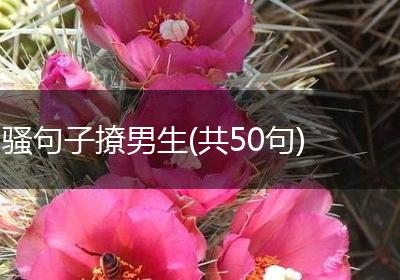 骚句子撩男生(共50句)
