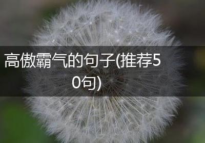 高傲霸气的句子(推荐50句)