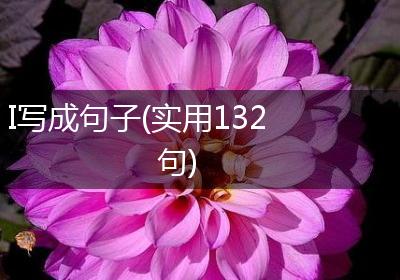 I写成句子(实用132句)
