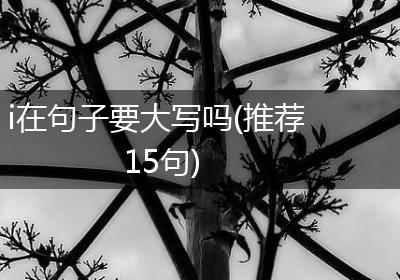 i在句子要大写吗(推荐15句)