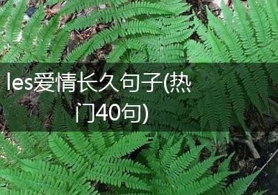 les爱情长久句子(热门40句)