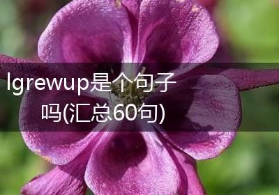 lgrewup是个句子吗(汇总60句)
