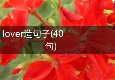 lover造句子(40句)