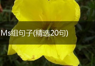 Ms组句子(精选20句)