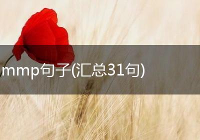 mmp句子(汇总31句)