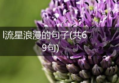 l流星浪漫的句子(共69句)