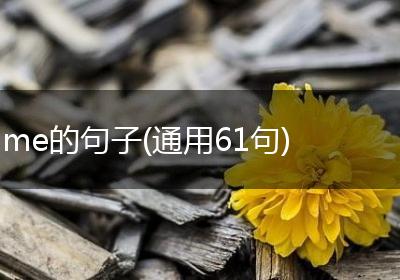 me的句子(通用61句)