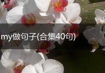 my做句子(合集40句)