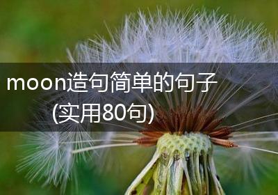 moon造句简单的句子(实用80句)