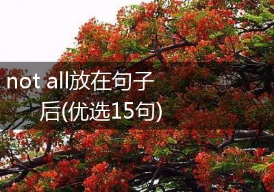 not all放在句子后(优选15句)