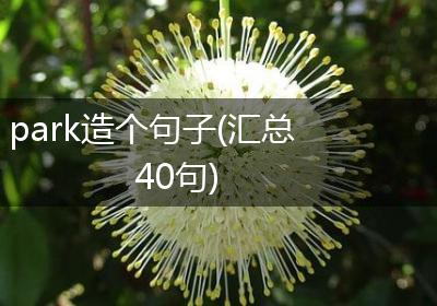 park造个句子(汇总40句)