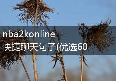 nba2konline快捷聊天句子(优选60句)