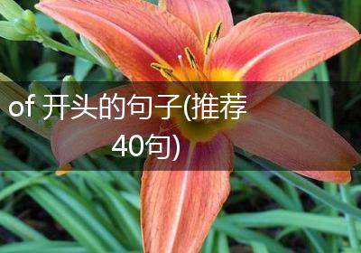of 开头的句子(推荐40句)