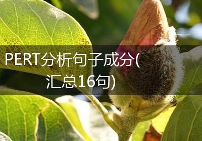 PERT分析句子成分(汇总16句)