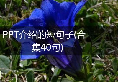 PPT介绍的短句子(合集40句)