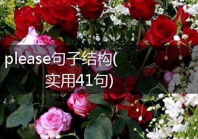 please句子结构(实用41句)