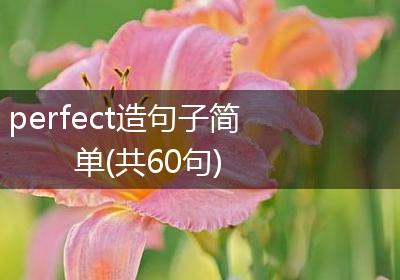 perfect造句子简单(共60句)