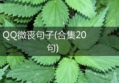 QQ微丧句子(合集20句)