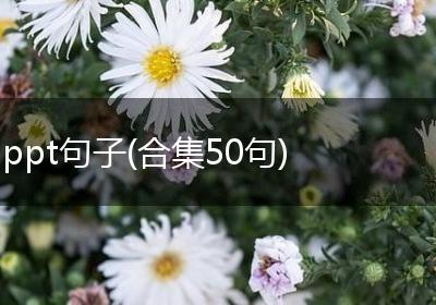 ppt句子(合集50句)