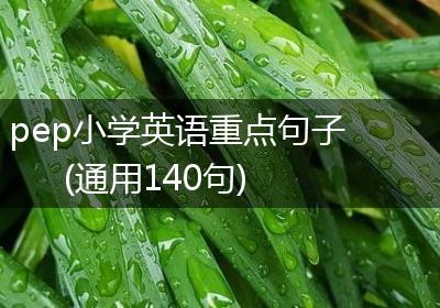 pep小学英语重点句子(通用140句)