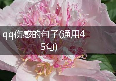 qq伤感的句子(通用45句)