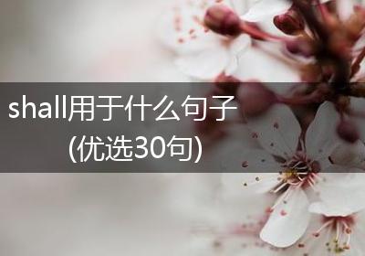 shall用于什么句子(优选30句)