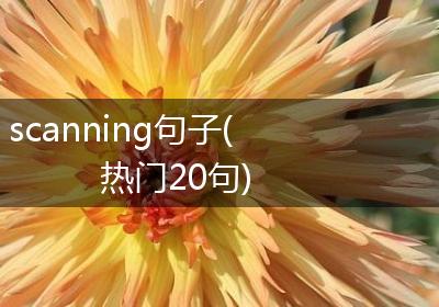 scanning句子(热门20句)