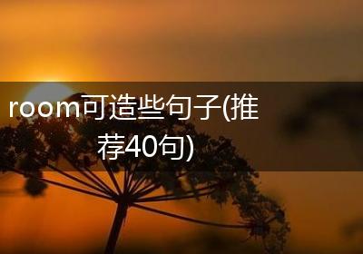 room可造些句子(推荐40句)