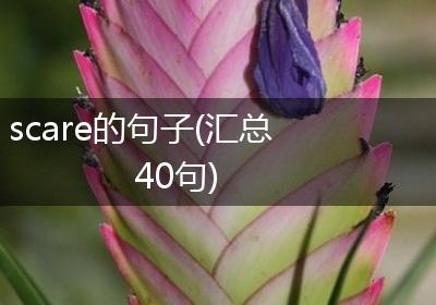 scare的句子(汇总40句)