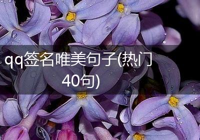 qq签名唯美句子(热门40句)