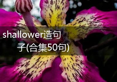 shallower造句子(合集50句)