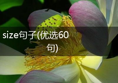 size句子(优选60句)