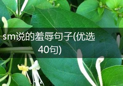 sm说的羞辱句子(优选40句)